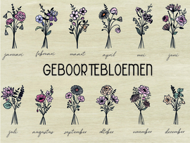 Doos | geboortebloem 230