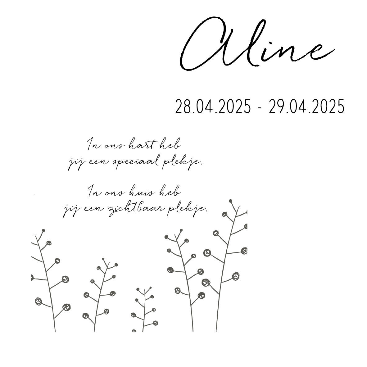 117_OVL_Bloemen