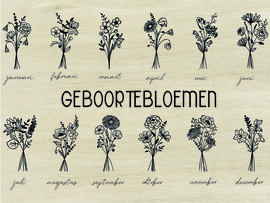 Doos | geboortebloem 230