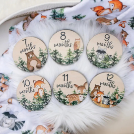 Houten milestones