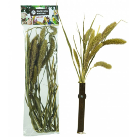 Back Zoo Nature Setaria 30 Gram