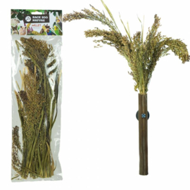 Back Zoo Nature Panicum 40 gram