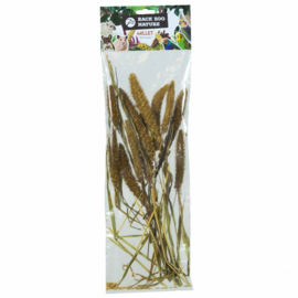 Back Zoo Nature Setaria Italica 50 Gram