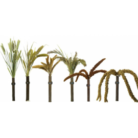 6 verschillende soorten snack "Grass soorten"  + Grass Keeper