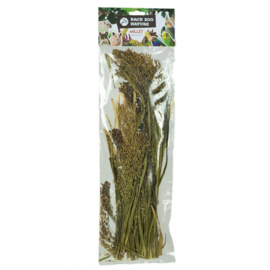 6 verschillende soorten snack "Grass soorten"  + Grass Keeper