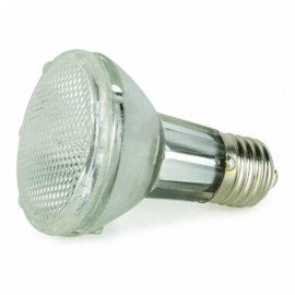 Back Zoo Nature Bird Sun UV-Lamp 35W