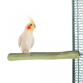 Java Single Perch Medium