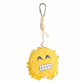 Petlala Emoji Pinata
