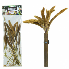 Back Zoo Nature Setaria Italica 50 Gram