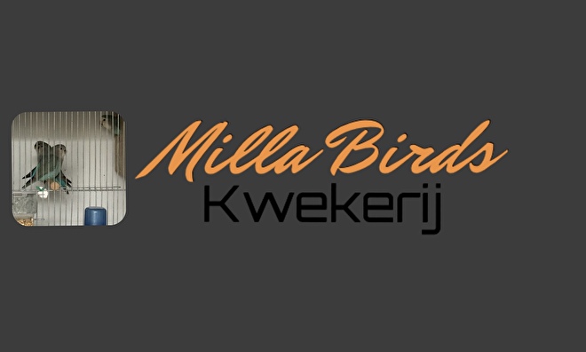 https://www.agapornisvogels.nl/c-3533864/onze-kwekerij/