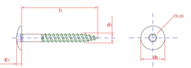 Kleur schroef Wit A2 4,8 x 25 mm RVS + bit