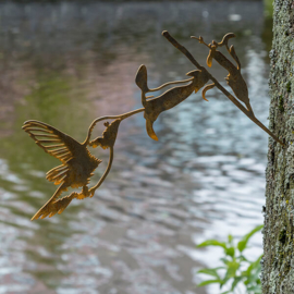 Metalbird Kolibrie