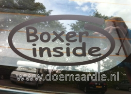 Boxer inside sticker, verschillende kleuren.