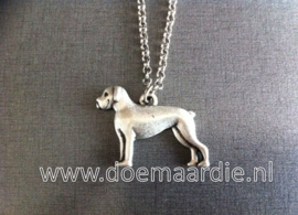 Ketting, staande boxer.