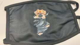 Mondmasker hond