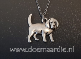 Beagle ketting