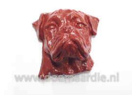 Boxer kopje, gips, rood bruin