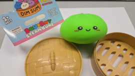 Dumpling Squishy mistery