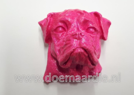 Boxer kopje, gips, bubble roze