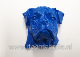 Boxer kopje, gips, konings blauw