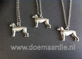 Ketting, staande boxer.