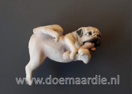 Hars pug met botje