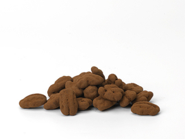 Chocolade Pecan Truffels 150 gram
