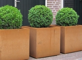 Cortenstaal plantenbak kubus L60xB60xH60 cm