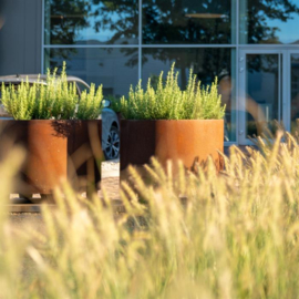 Cortenstaal plantenbak rond met poten- cilindervorm Ø60xH80 cm
