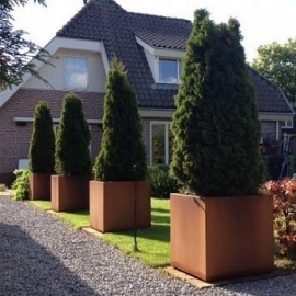 Cortenstaal plantenbak kubus L100xB100xH100 cm