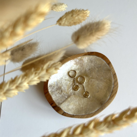 OORBELLEN CIRCLE AND STAR - GOLD PLATED