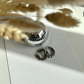 OORBELLEN GROTE CREOLEN - STAINLESS STEEL