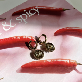 OORBELLEN CREOLEN MUNT - GOLD PLATED