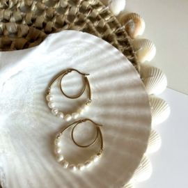 OORBELLEN ZOETWATER PARELS - GOLD PLATED