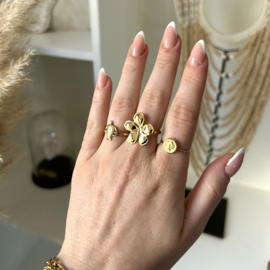 VERSTELBARE RING SCHILDPAD - GOLD PLATED