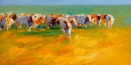 Rode koeien in laat zomerlicht