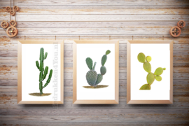 Posters Cactus in kleur op witte achtergrond , set van 3