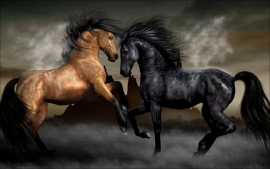 Poster Vurige Hengsten, paarden