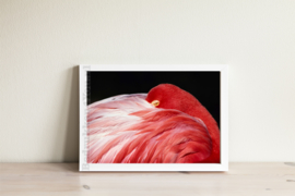 Poster Flamingo - roze zwart A3