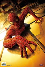 Poster Marvel  -Spiderman 