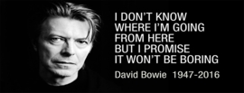 David Bowie