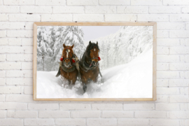 Poster Paarden in de sneeuw