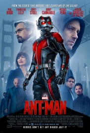 Poster Marvel   - Ant Man