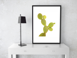 Poster Cactus  (c) in kleur op witte achtergrond A5 / A4