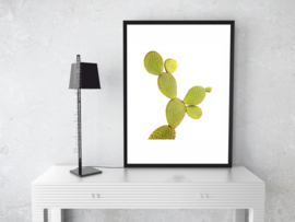 Poster Cactus  (c) in kleur op witte achtergrond A3