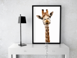 Poster - Giraffe - witte achtergrond A3