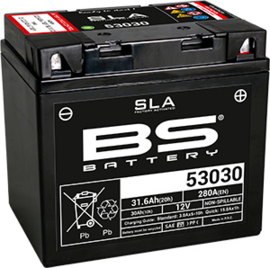 BS BATTERY 53030 AGM 12V / 30Ah / 280 CCA