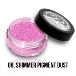 Shimmer Pigment Dust 08 - 2g