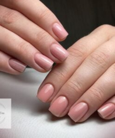 2-Daagse Basis Opleiding BIAB