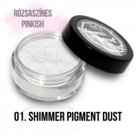 Shimmer Pigment Dust 01 - 2g